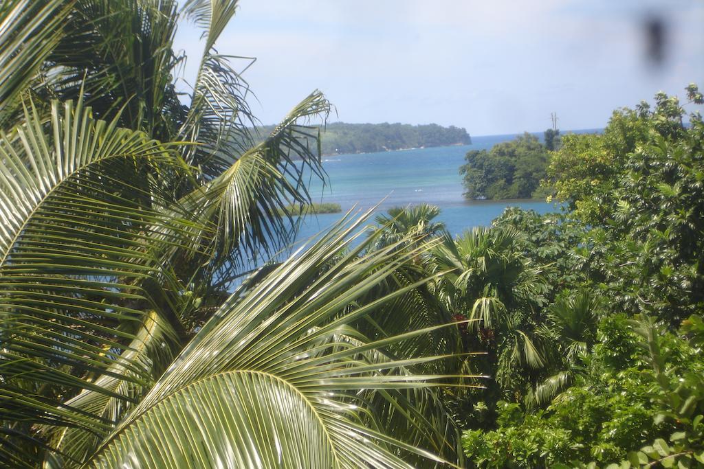 Finjam Cottage Port Antonio Zewnętrze zdjęcie