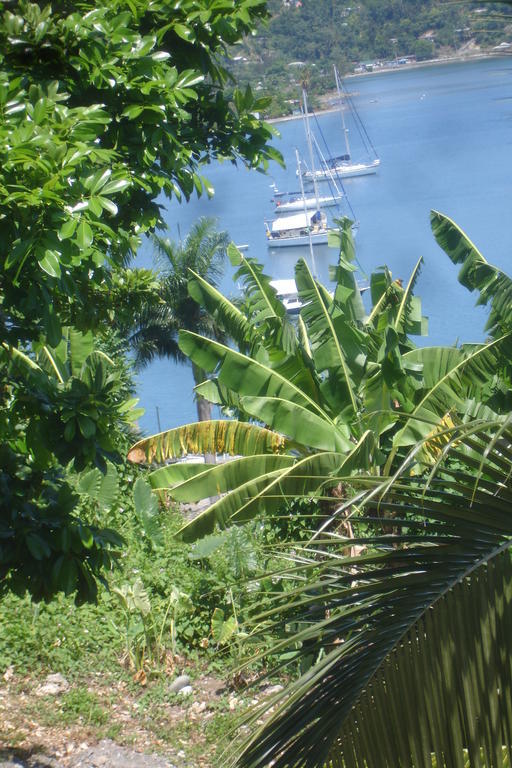 Finjam Cottage Port Antonio Zewnętrze zdjęcie